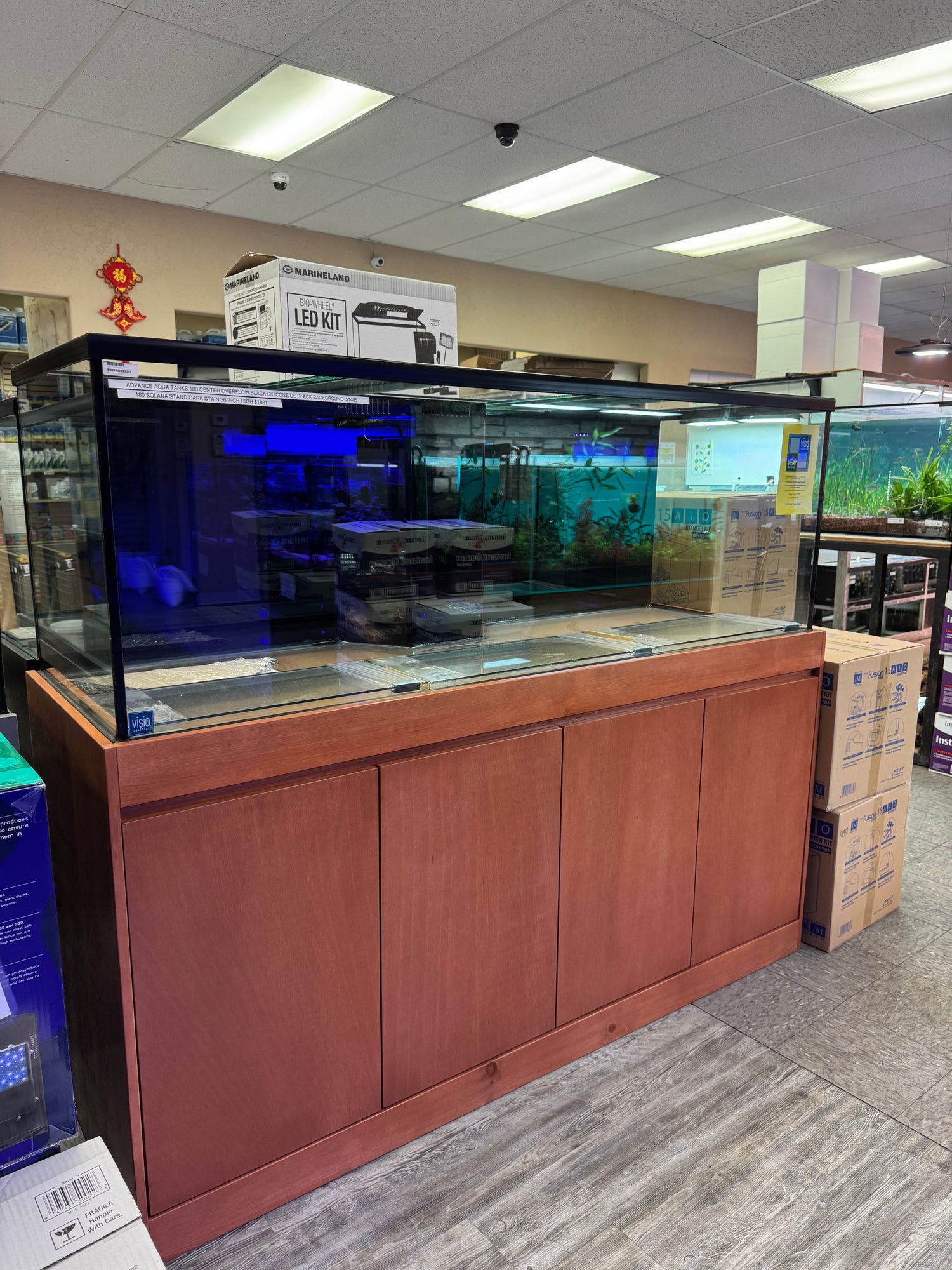 IN STOCK LARGE AQUARIUMS
