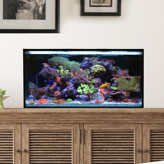 Innovative Marine NUVO FUSION 25 Lagoon Gallon Nano Reef Summer Project