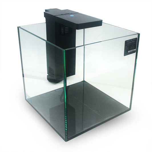 3 GALLON BETTA “FIRST FISH” SUMMER PROJECT KIT