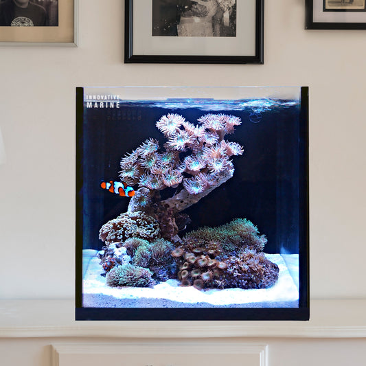 Innovative Marine NUVO FUSION 15 Gallon Nano Reef Summer Project